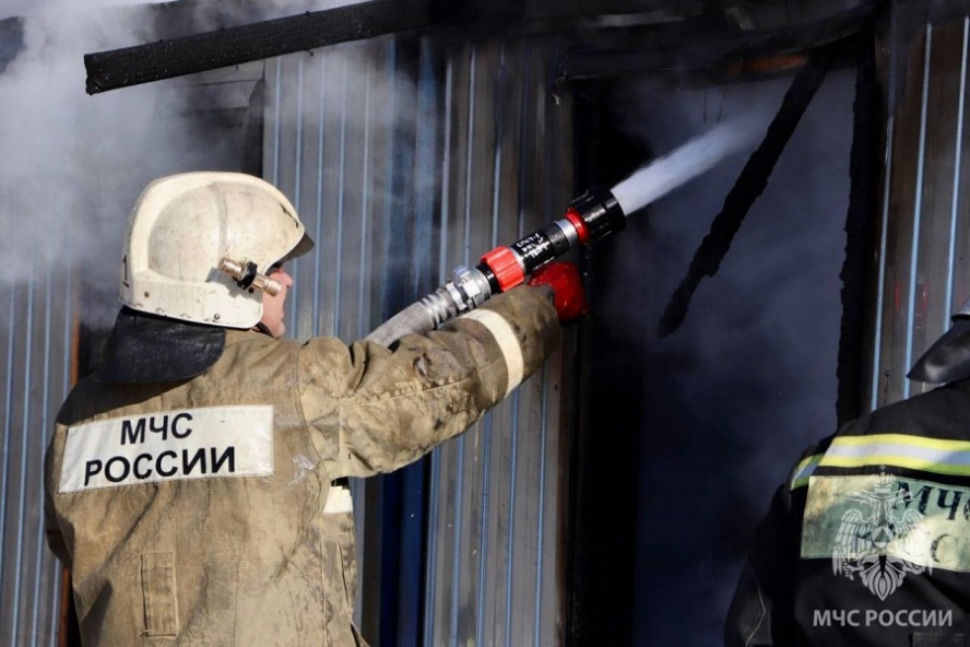 За неделю при пожарах в Тамбовской области погибли шесть человек