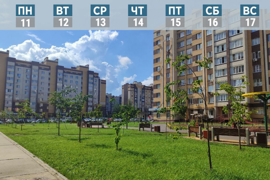 Обзор за неделю: оклад главы администрации Тамбова, продажа исторических Торговых рядов, новый главврач поликлиники на севере города