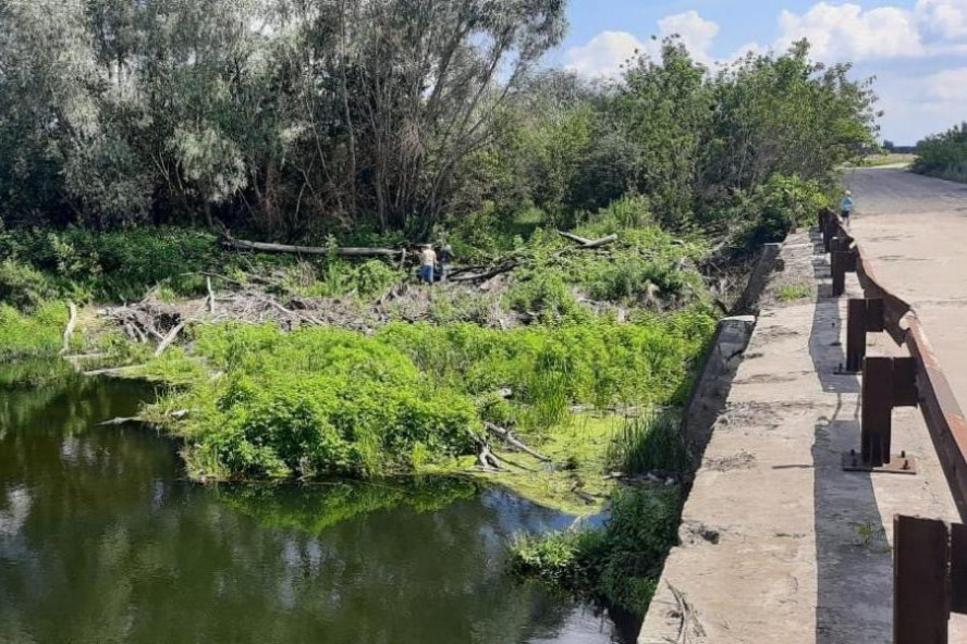 Разработан проект на расчистку реки Ворона в Тамбовской области