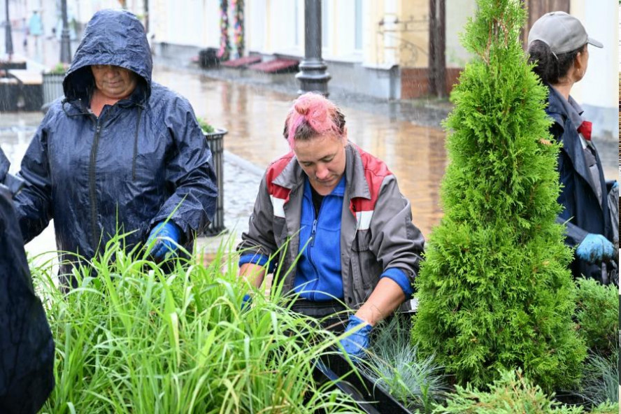В Тамбове приводят в порядок городские цветники