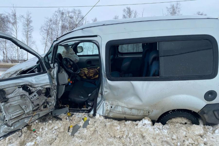 В Тамбовской области на встречке столкнулись "Renault" и грузовик
