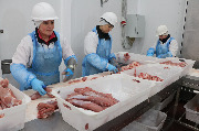 Убойное и мясоперерабатывающее производство в селе Борщевка