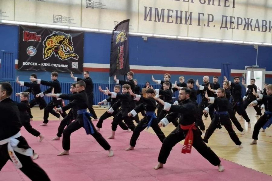 В Тамбове прошёл XXIII Фестиваль боевых единоборств
