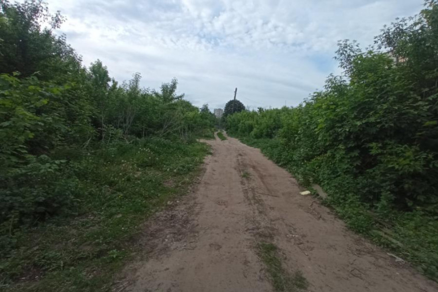 В Тамбовской области обнаружили бесхозную автодорогу, ведущую в соседний регион