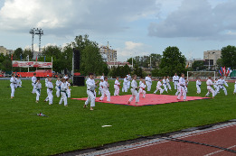 "Ударное шоу" в Тамбове собрало лучших представителей федераций боевых искусств