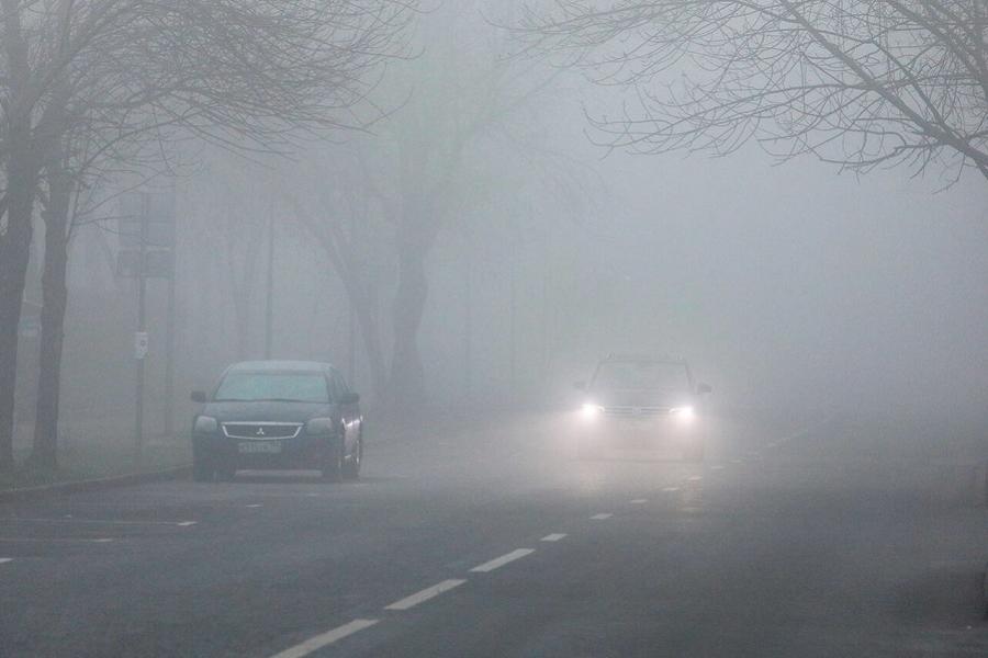 В Тамбовской области ожидается туман и сильные порывы ветра