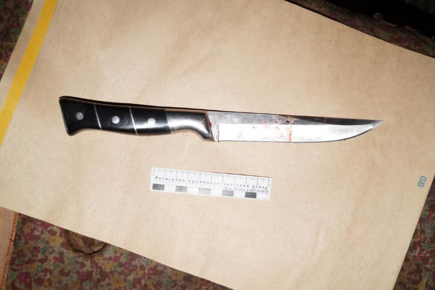 Житель Тамбовского района зарезал родственника и ударил ножом его сожительницу
