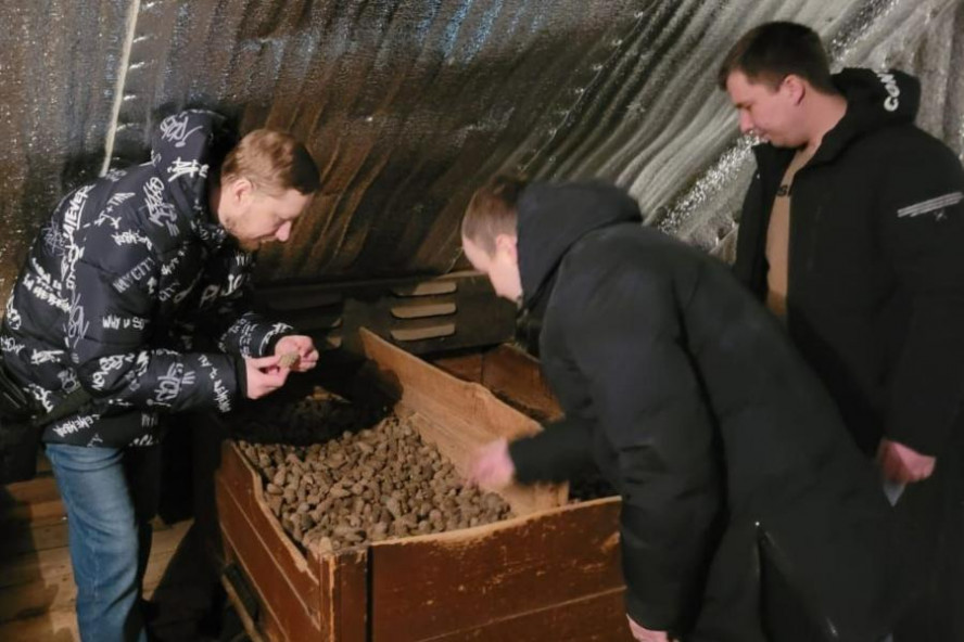 Более 30 тонн сосновых шишек заготовили в Тамбовской области