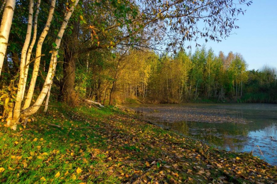 По итогам лета 2023 года Тамбовская область вновь стала лидером экологического рейтинга