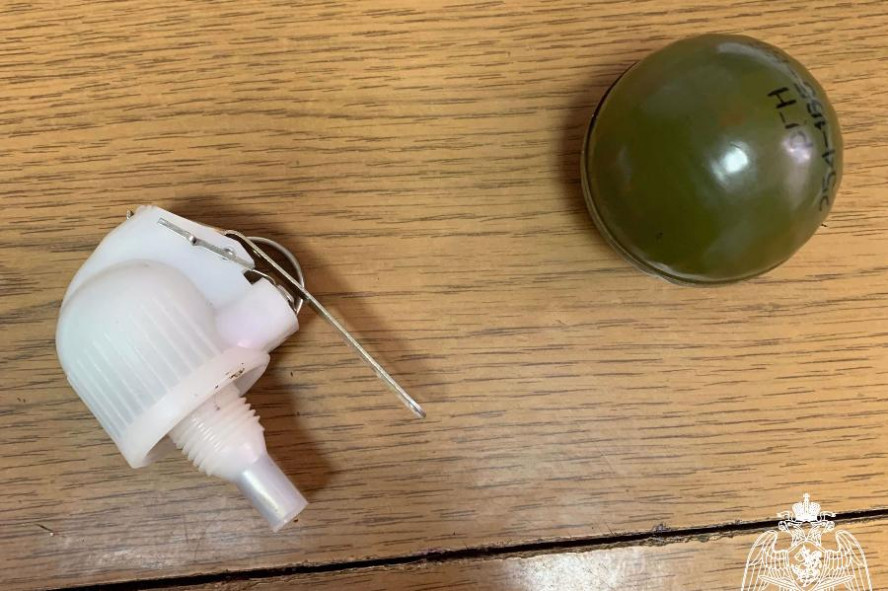 Житель Тамбовской области нашёл боевую ручную гранату