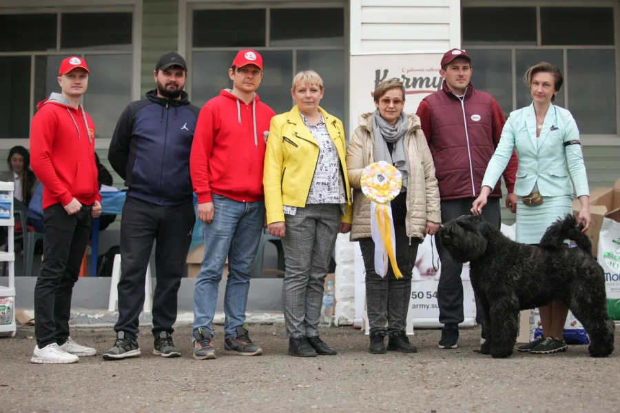 В Тамбове прошла выставка собак  "Весенняя Заря"