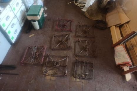 Житель Тамбовской области с помощью капканов незаконно добыл 9 бобров