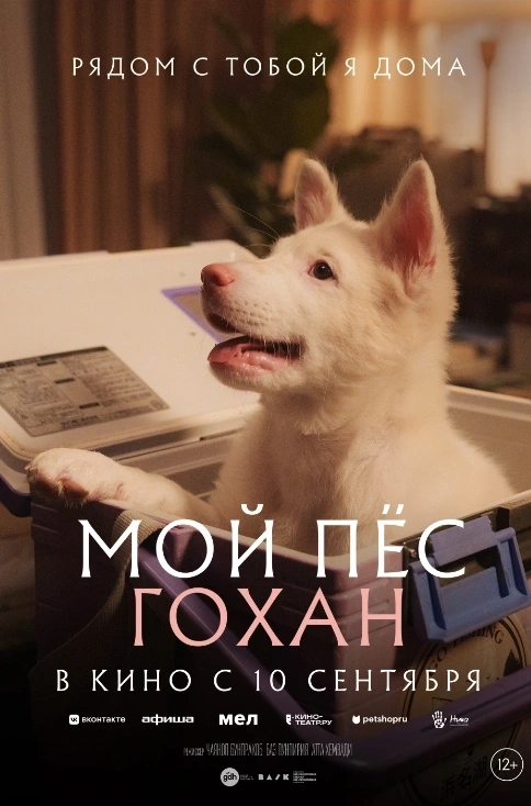 Мой пёс Гохан