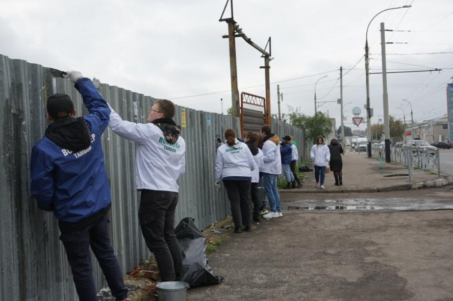 В Тамбове волонтеры очищают от рекламных объявлений заборы и столбы