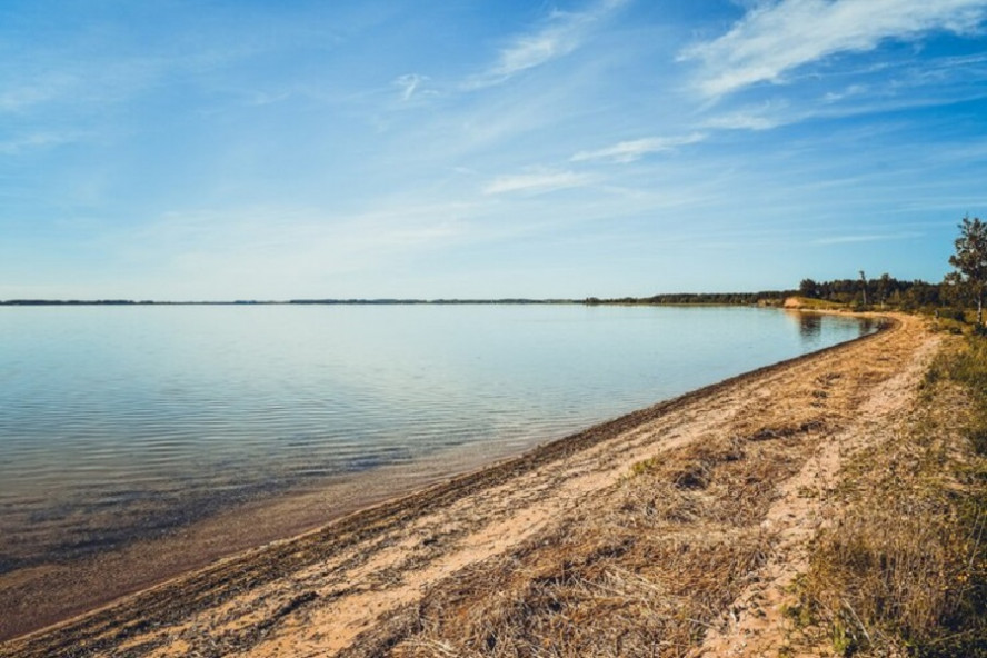 В Тамбовской области усилят контроль за незаконной распашкой прибрежных защитных полос водоёмов