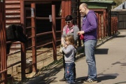В Тамбовском зоопарке открылась контактная площадка