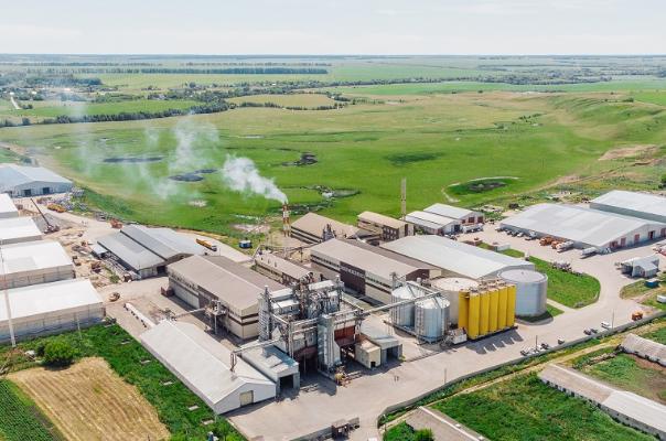 Компания "Экоойл" строит крупный элеватор для хранения пшеницы