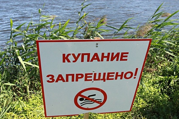 В Тамбове запретили купаться на двух пляжах