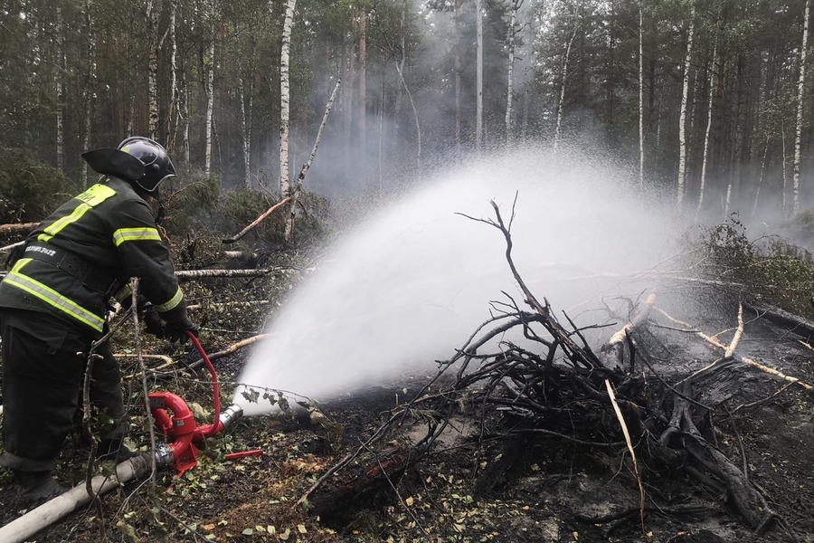 Тамбовские спасатели четвертые сутки помогают коллегам из Рязанской области тушить лесные пожары