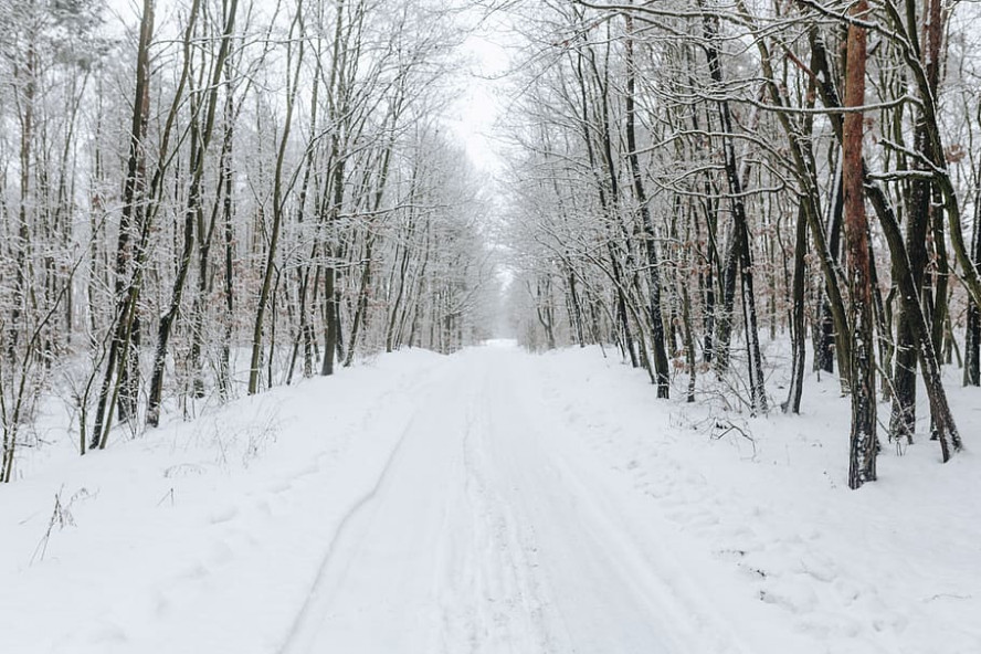 Астрономическая зима наступит в России 22 декабря