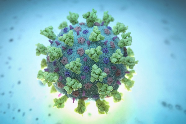 Ученые расшифровали геном коронавируса