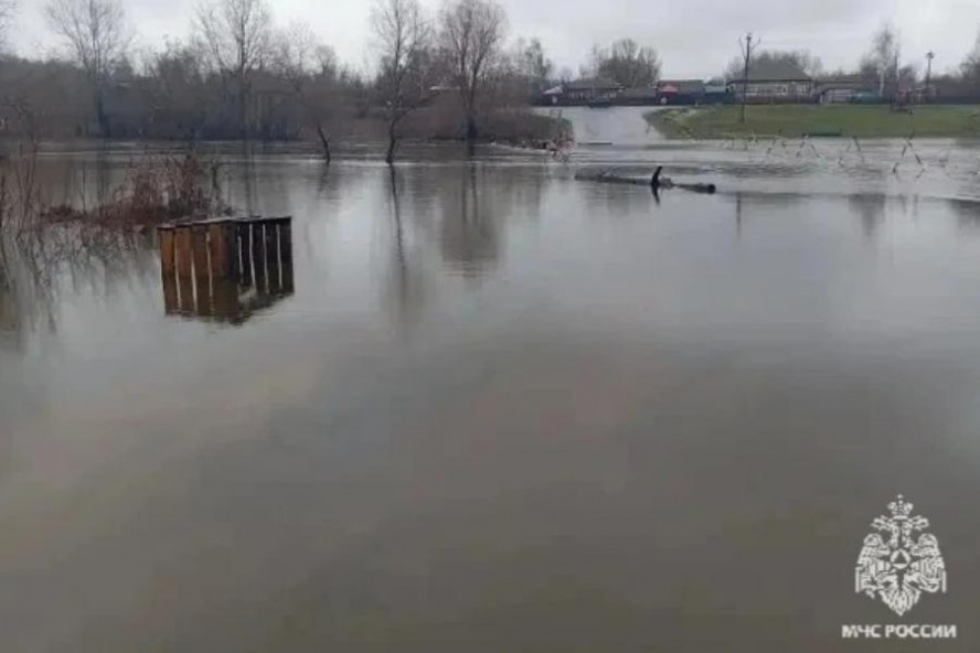 В Ржаксинском округе затопило мост из-за подъёма воды в реке Ворона