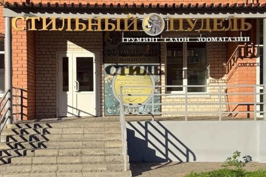 В Тамбове откроется второй груминг-салон и зоомагазин "Стильный пудель"