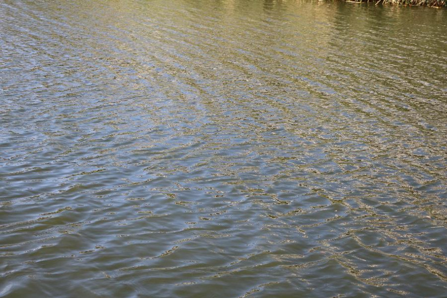 В озере в Моршанском районе утонул пенсионер