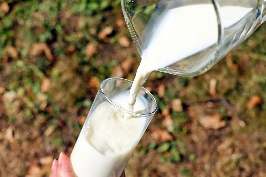 В Тамбовской области снято из продажи больше тонны некачественной молочной продукции