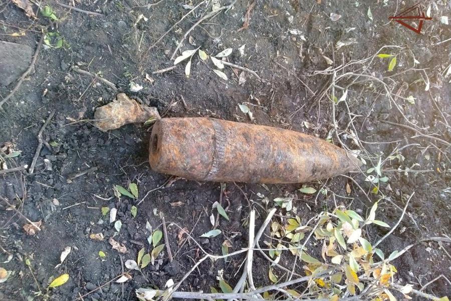 В лесополосе под Тамбовом обнаружили артиллерийский снаряд