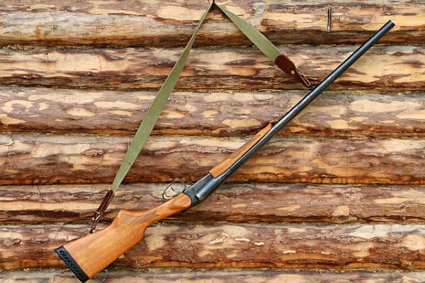 В Тамбовской области с начала года выявили более 20 нарушений правил охоты
