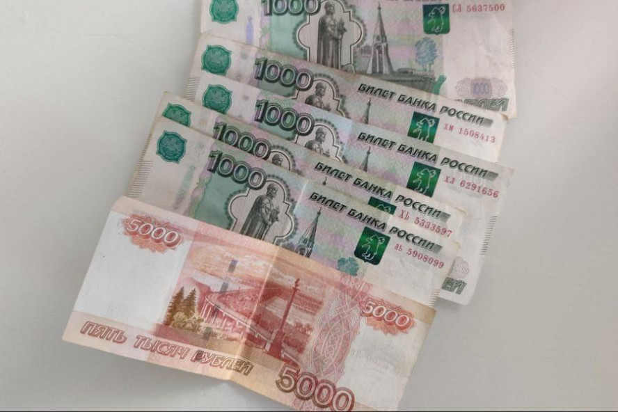 Тамбовская пенсионерка передала мошенникам 640 тысяч рублей