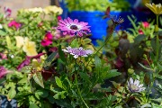 DSC_8156.jpg