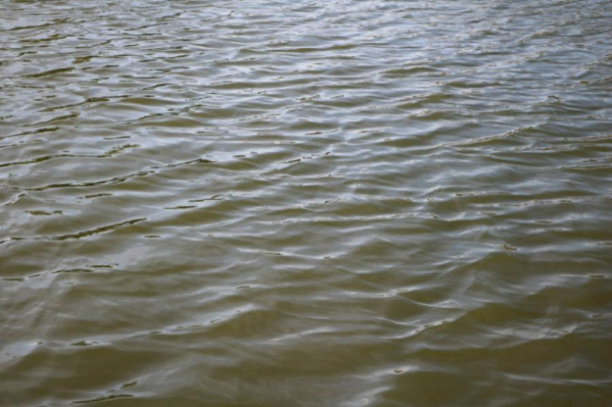 Вода на четырёх пляжах Тамбовской области не соответствует санитарным требованиям