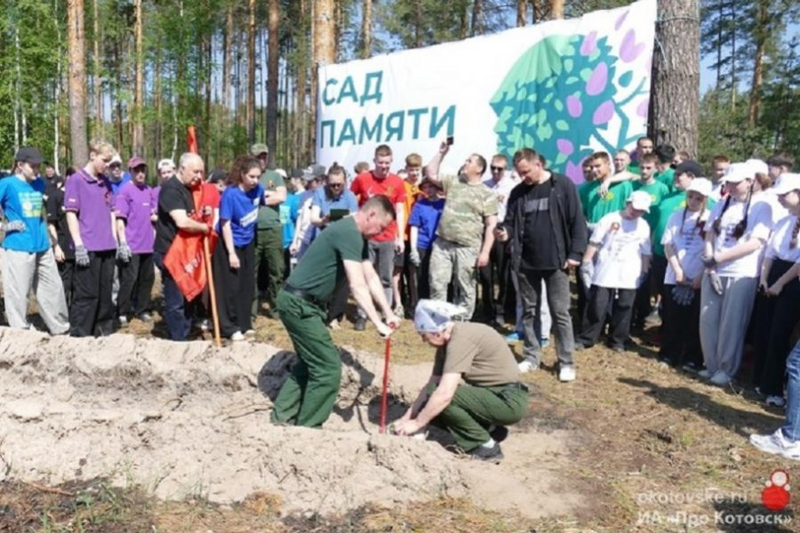 В Котовске высадили 8 тысяч сосен в рамках международной акции "Сад памяти"