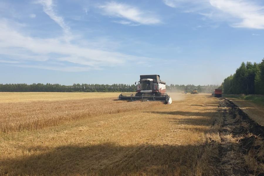 В Тамбовской области собрали более трёх миллионов тонн зерна