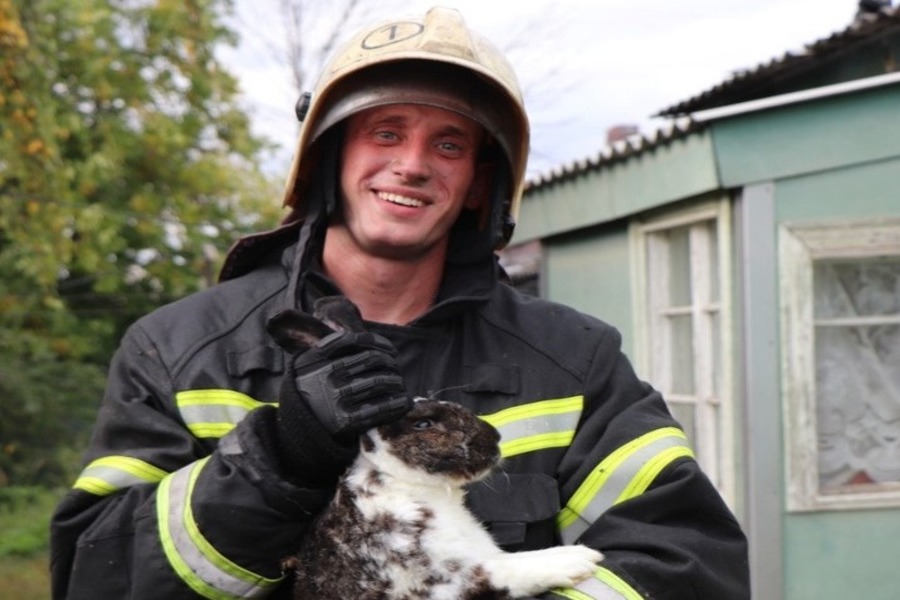 Тамбовские пожарные спасли кошку и кролика