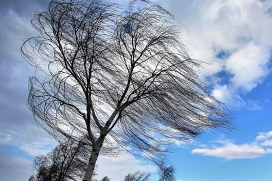 В Тамбовской области ожидается усиление ветра до 18 м/с
