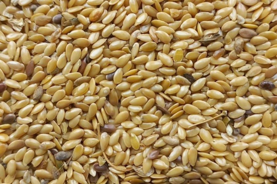 Семена тамбовского льна отправляются в Белоруссию