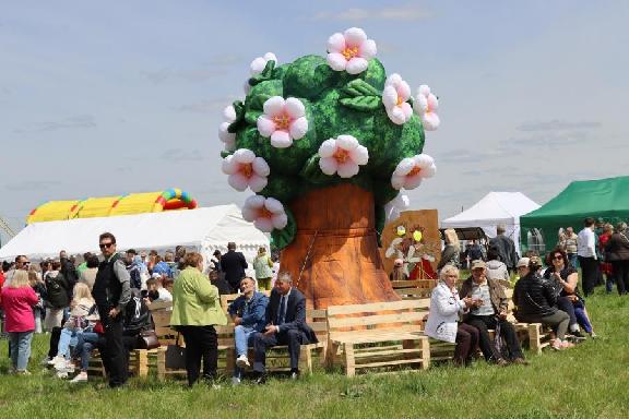 В Тамбовской области 18 мая пройдёт фестиваль 