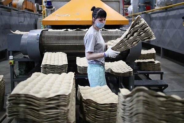 В России на четверть снизят выпуск упаковочного картона