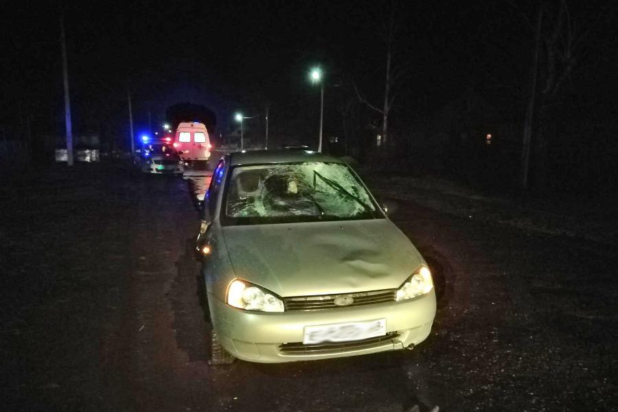 В Тамбовской области водитель легковушки сбил двух пешеходов