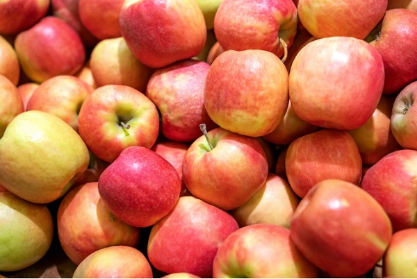 С территории мичуринского сельхозпредприятия украли 200 килограммов яблок