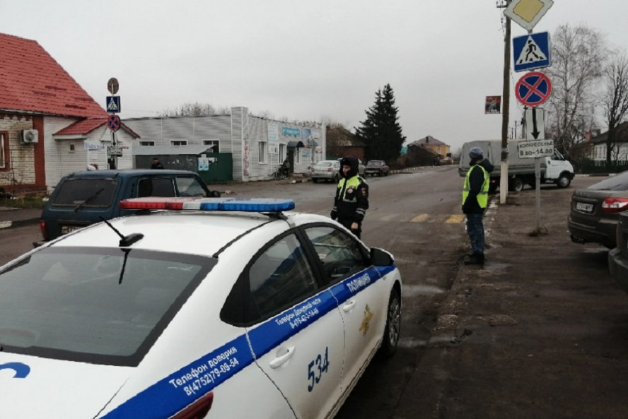 В Тамбовской области 22 марта пройдут массовые рейды ГИБДД по детским автокреслам