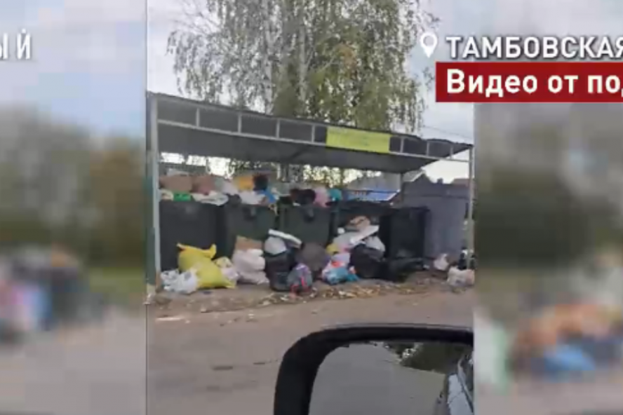 ОНФ: Жители "Радужного" утопают в мусоре