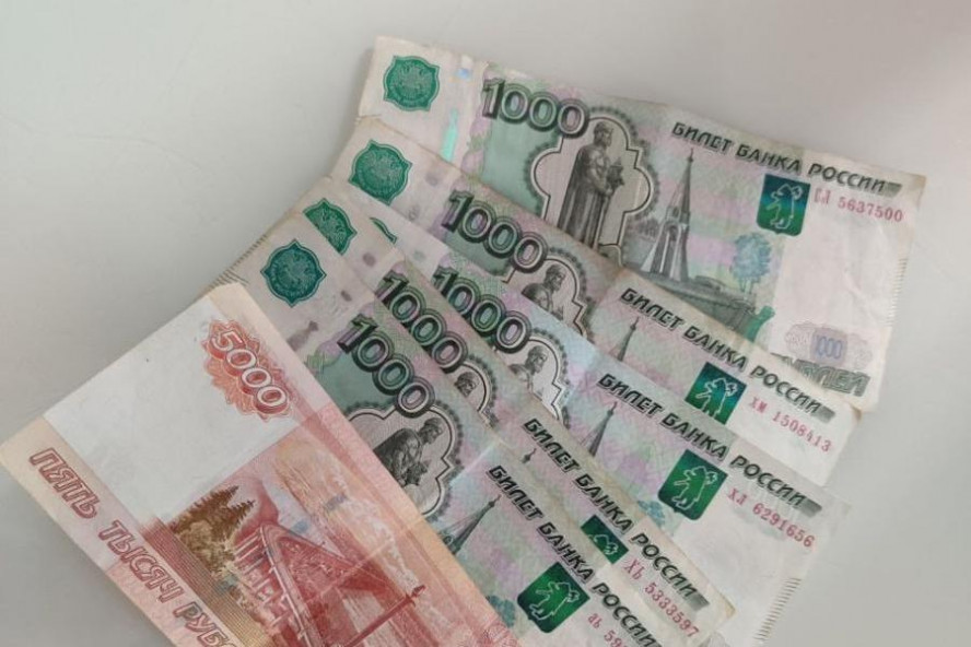 Тамбовчанка заплатит штраф за хищение 350 тысяч рублей соцвыплат на бизнес