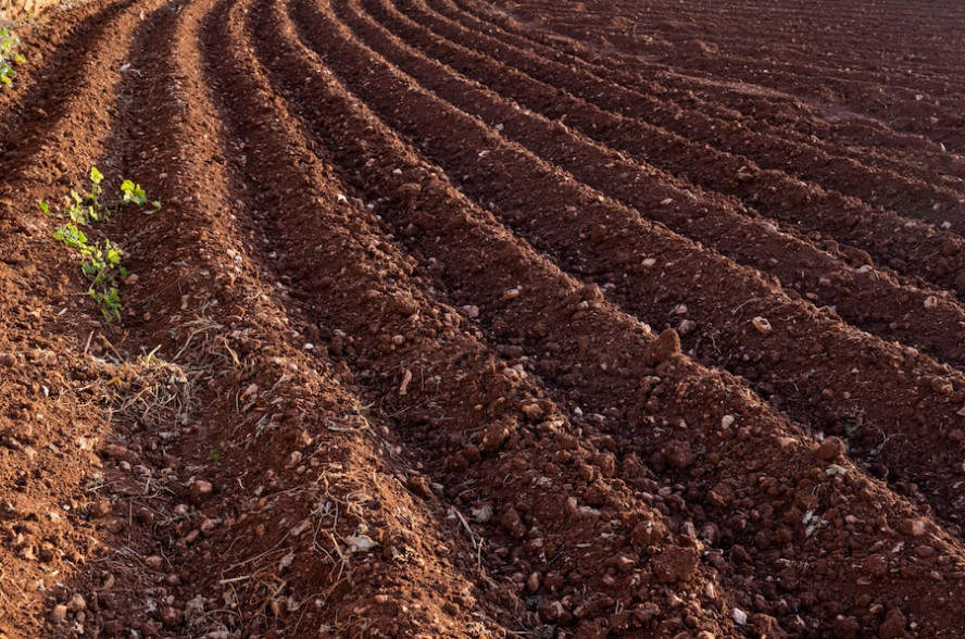 В Рассказовском районе обнаружено уничтожение плодородного слоя почвы