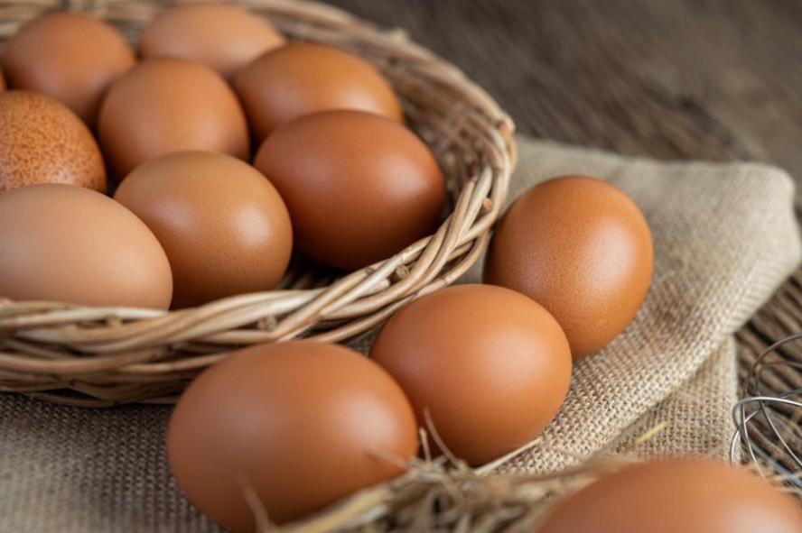 Минсельхоз предложил запретить экспорт яиц и мяса птицы