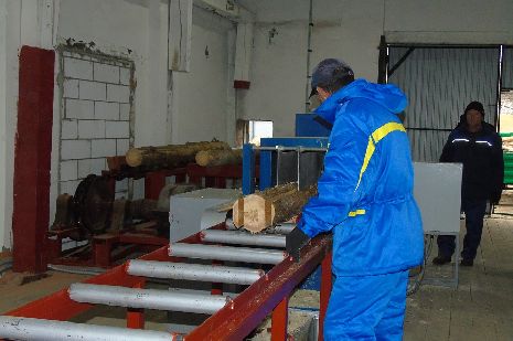 В Моршанском районе запустили цех по переработке мелкотоварной древесины