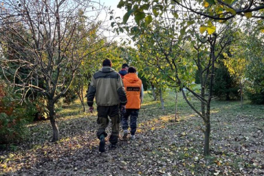 В ноябре в тамбовский отряд "Лиза Алерт" поступило 11 заявок на поиск людей